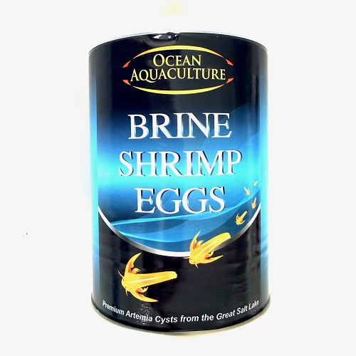 Artemia /Brine Shrimp Eggs 454 gram