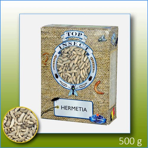 Hermetia (Soldatenfliegenmaden) tiefgekühlt 1000 ml.