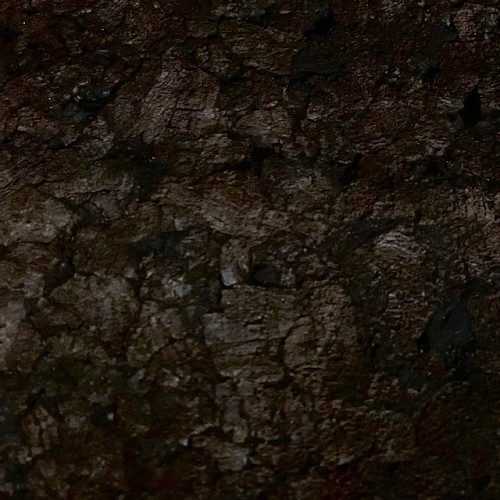 Achterwand Kurk Donker, 100x50x2cm. 15st