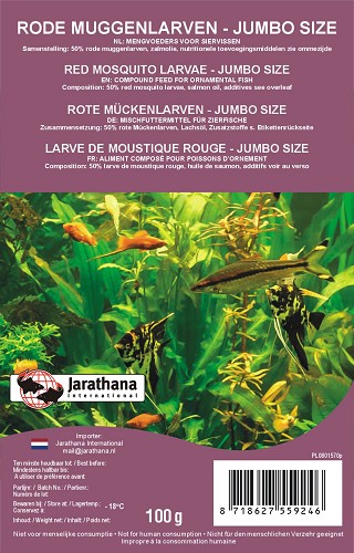 Rote mückenlarven XLr Rot tiefgekühlt in blisterverpackung