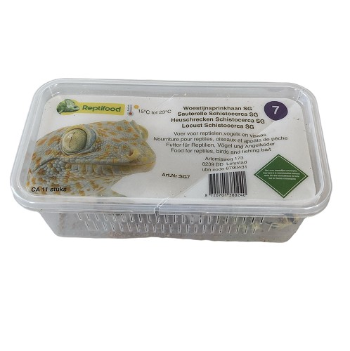 Heuschrecken Schistocerca Größe 7