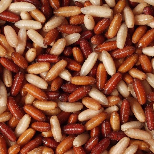 Casters in einer 200ml tasche