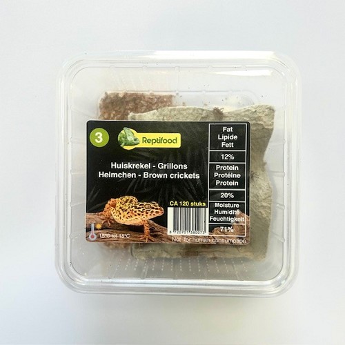 Heimchen Grosse 3 in Dose
