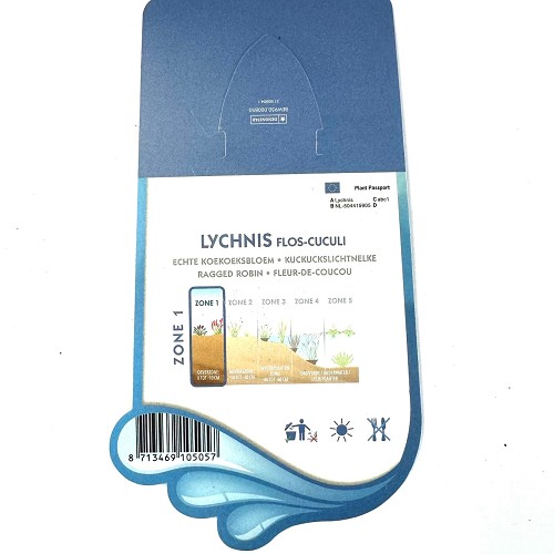 Lychnis flos-cuculi- Echte koekoeksbloem