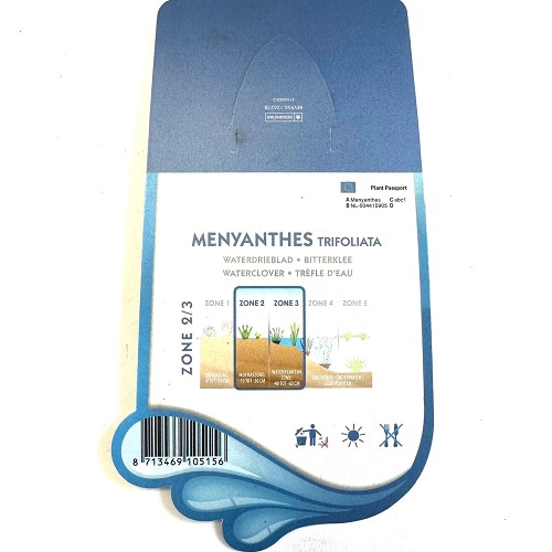 Menyanthes trifoliata- Waterdrieblad