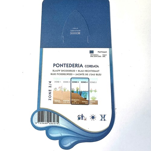Pontederia cordata-Blauw snoekkruid