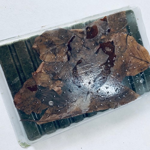 Futter für Shrimp-Crab-Pleco mix tiefgekühlt in blisterverpackung