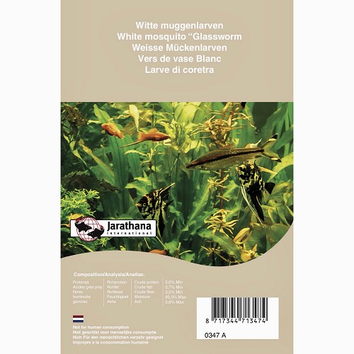 Weisse mückenlarven tiefgekühlt in blisterverpackung