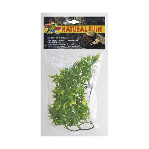 Large Bolivian Croton