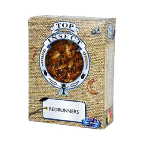 Tiefgefrorene Heimchen 1000 ml