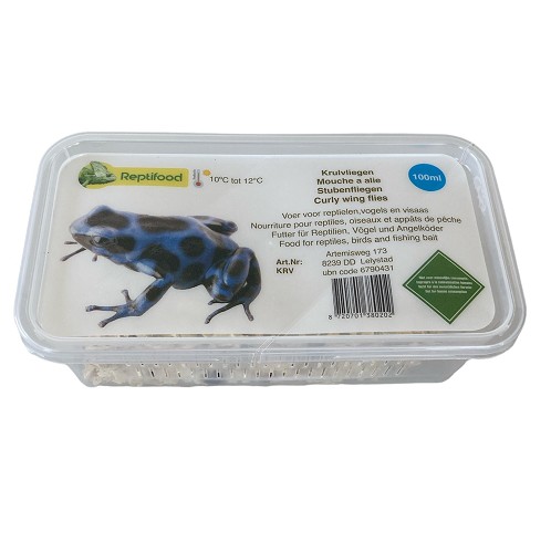 Lockenfliegen in dose