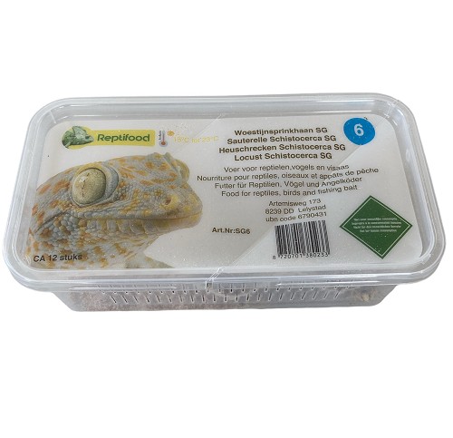 Heuschrecken Schistocerca Größe 6