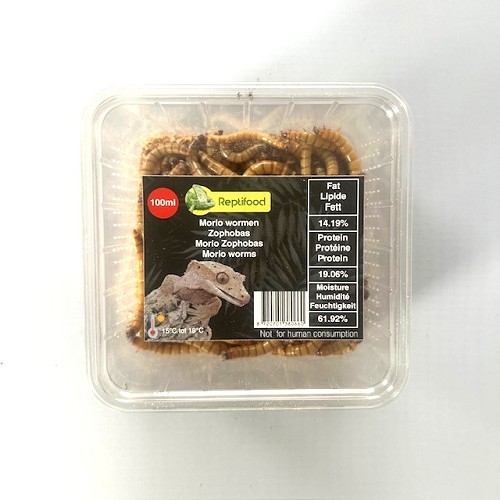 Moriowürmer in Dose 100 ml.